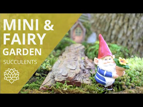 Video: Stade Tolerant Fairy Gardens – Հեքիաթային այգեգործության խորհուրդներ ստվերում