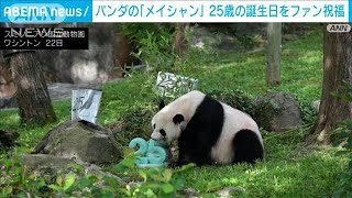 パンダの「メイシャン」25歳の誕生日をファン祝福　ケーキを豪快に食べる姿　米動物園(2023年7月23日)