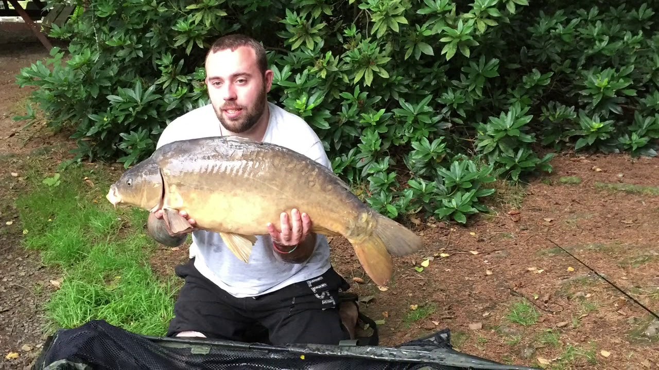 Carp fishing Blavet Valley Lakes YouTube