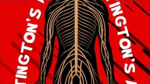 New GCSE BBC Bitesize   Inheritance Low