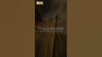 اني جزيتهم اليوم بما صبروا #سورة_المؤمنون #اسلام_صبحي #trend #trending #اكسبلور #explore #قرآن #لايك