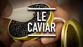 Le caviar Français  Portrait YouCook