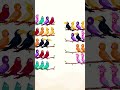 #bhojpuri #song #newsong #sad #gaming #catvideos #cat #games #catfunny #love
