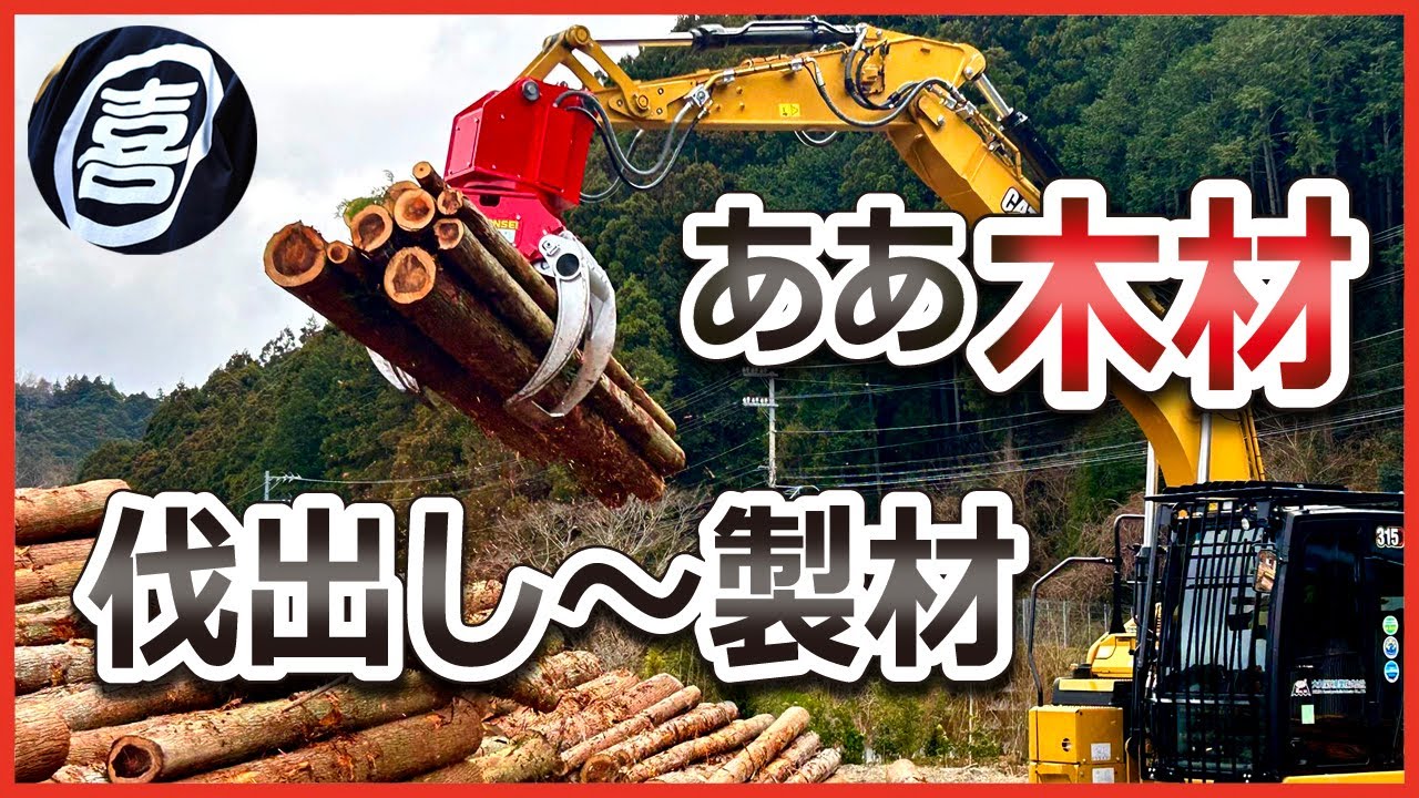 【木材】意外な失敗から学ぶ！木の伐り出しから製材～木材となるまでの苦労とは