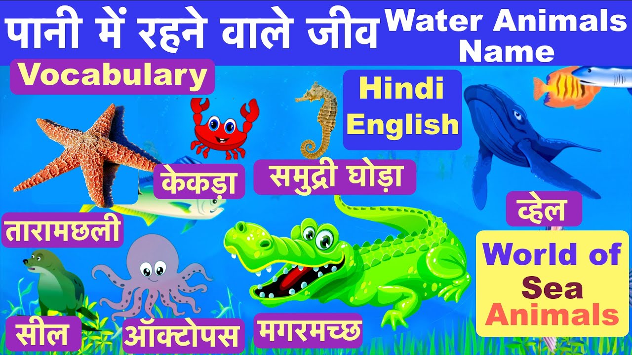 Pani Me Rahne Wale Jeev Water Animals Name Water Animals Name In pani-me-rahne-wale-jeev-water-animals-name-water-animals-name-in