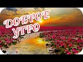 Доброе утро! ❤️ Какая красота и даль красы какая! ❤️Good morning!