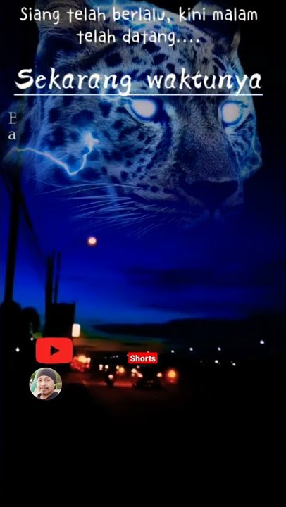 Story Malam Hari - Motivasi Hidup