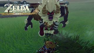 most players missed this hidden BOTW trick
