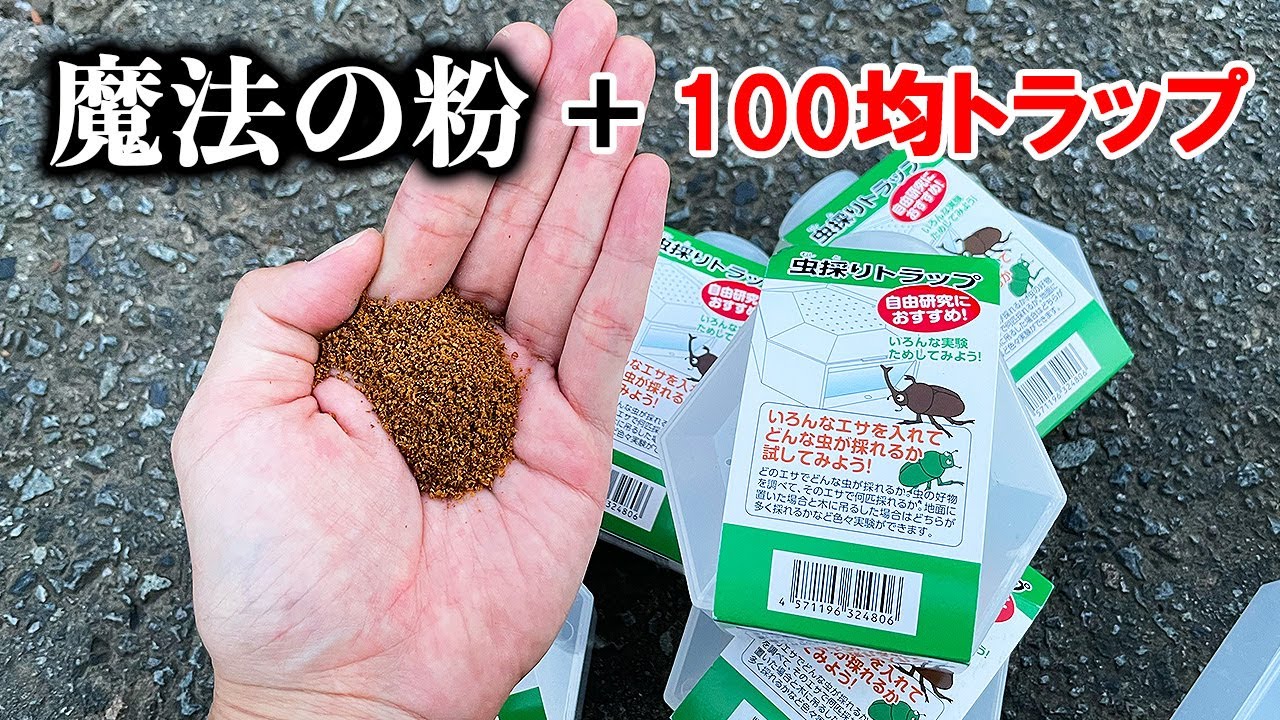 Can you catch dangerous bugs with a 
