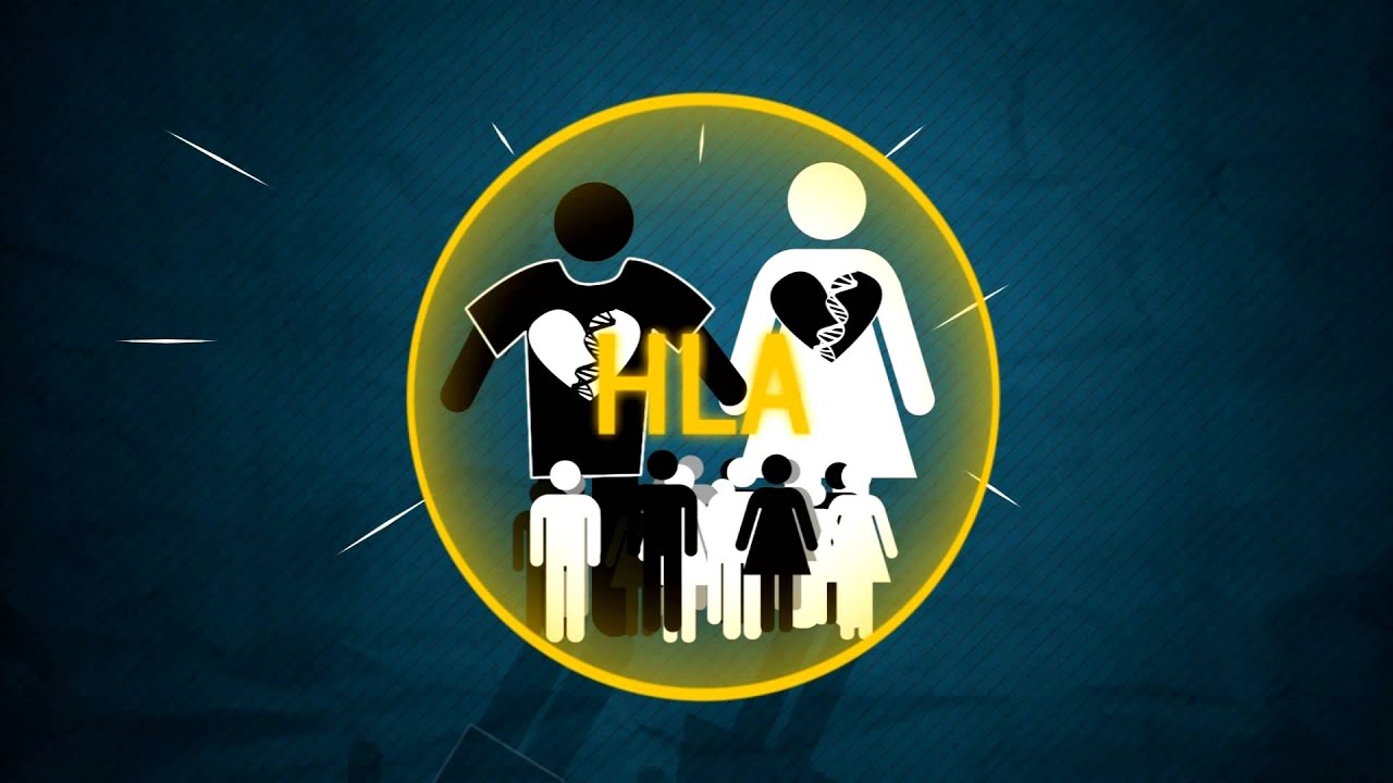 Science behind matchmaking Science behind matchmaking