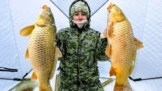 It's a SHOCK, I took Natasha fishing and she did it!!! Carp in the zamornaya river barely crawl into