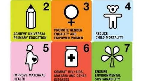 2010 MICS in Swaziland