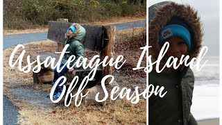 Visiting Assateague Island Off Season| Pony Fail!