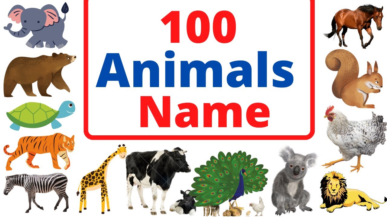 100 Animals Name | 100 Animals Name in English | Animals For Kids  Educational - YouTube