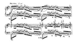 Sergei Rachmaninoff - 6 Moments Musicaux, Op.16 (Pogorelich)