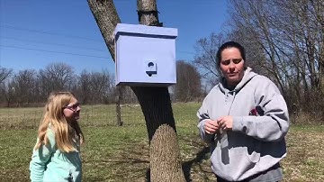 Quick check of Swarm trap