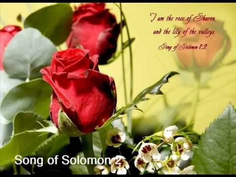 Song of Solomon 2 (with text - press on more info.)