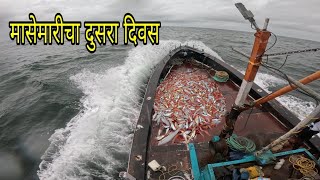 Download Lagu मासेमारी करतांना सुटला जोराचा वारा. मासेमारीचा दुसरा दिवस. Deep sea fishing. Mumbai India fishing MP3 Download Lagu मासेमारी करतांना सुटला जोराचा वारा. मासेमारीचा दुसरा दिवस. Deep sea fishing. Mumbai India fishing MP3