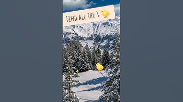 Try to find all the ducks ep32