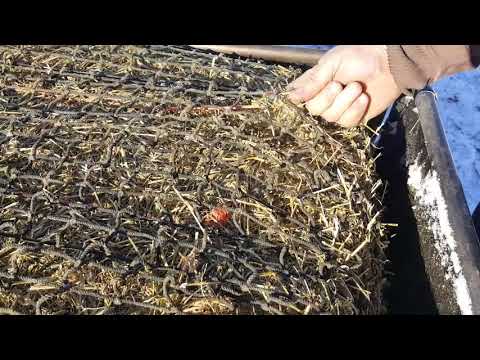 Diy Slow Feed Hay Feeders Home