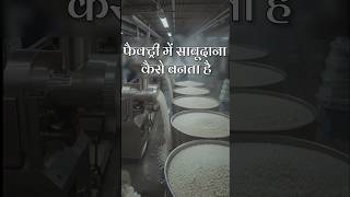 साबूदाना कैसे बनता है फैक्ट्री में #shorts #sabudana