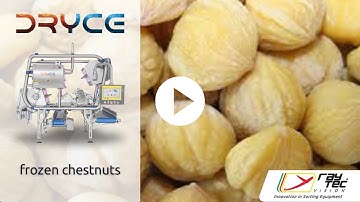 Dryce sorting machine for frozen chestnuts | RAYTEC VISION SpA