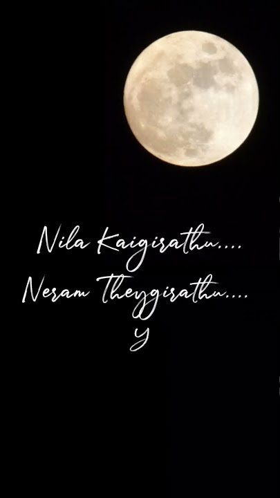 Nila Kaigirathu🥰 Whatsapp Status Tamil🥰#shorts