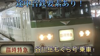 185系臨時列車乗車記