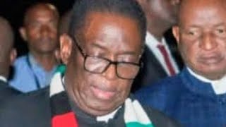 Mnangagwa sued for appointing 10 Senators.