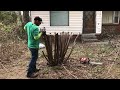 Free front lawn transformation for elderly customer