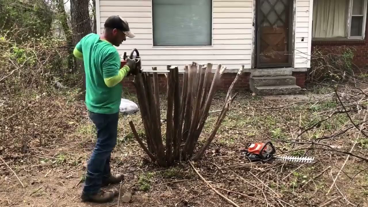 Free front lawn transformation for elderly customer 