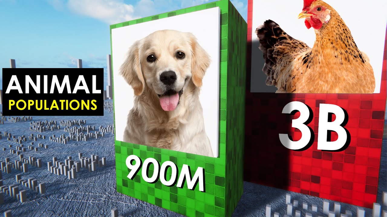 Animal Populations 3D Comparison