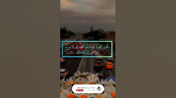 تلاوة هادئة: الله ولي الذين ءامنوا يخرجهم من الظلمات إلى النور | عبدالله مجدية