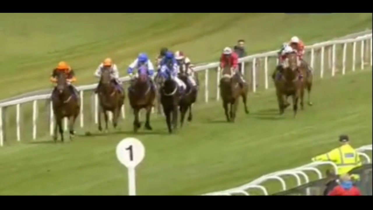 amenable beverley 13 05 14