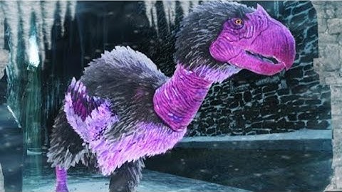 Cells of Chaotic Oracle! | Ark: Mobile Dungeon | Easy Difficulty