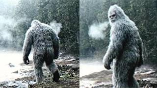 My Father Disappeared in 1983—Thirty Years Later, a Sasquatch Led Me to His Cabin