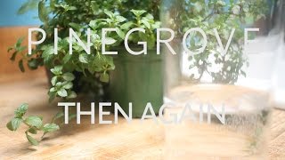 The Key Presents: Pinegrove -  Then Again chords