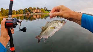 GIANT Fish Takes The Bait