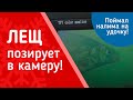 ЛЕЩ ПОЗИРУЕТ В КАМЕРУ! Налим чуть не оборвал снасть. Зимняя рыбалка на леща Winter Bream #OmskFish