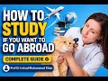 How to Study during DVM to go abroad 