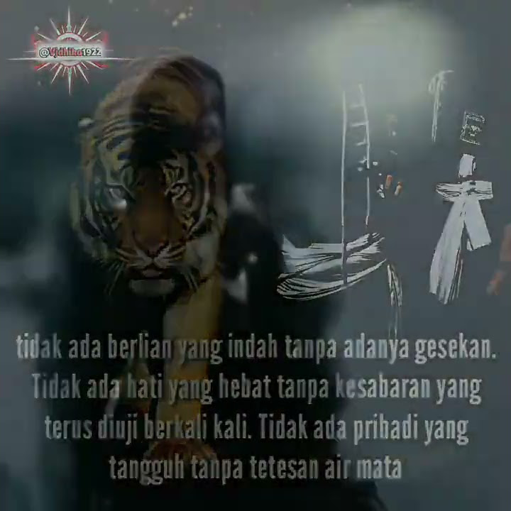 Story wa harimau menanti psht