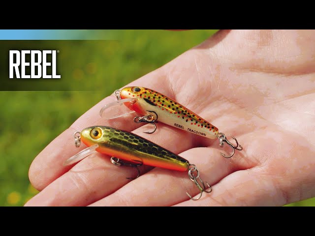 Rebel Tracdown Minnow Colors 