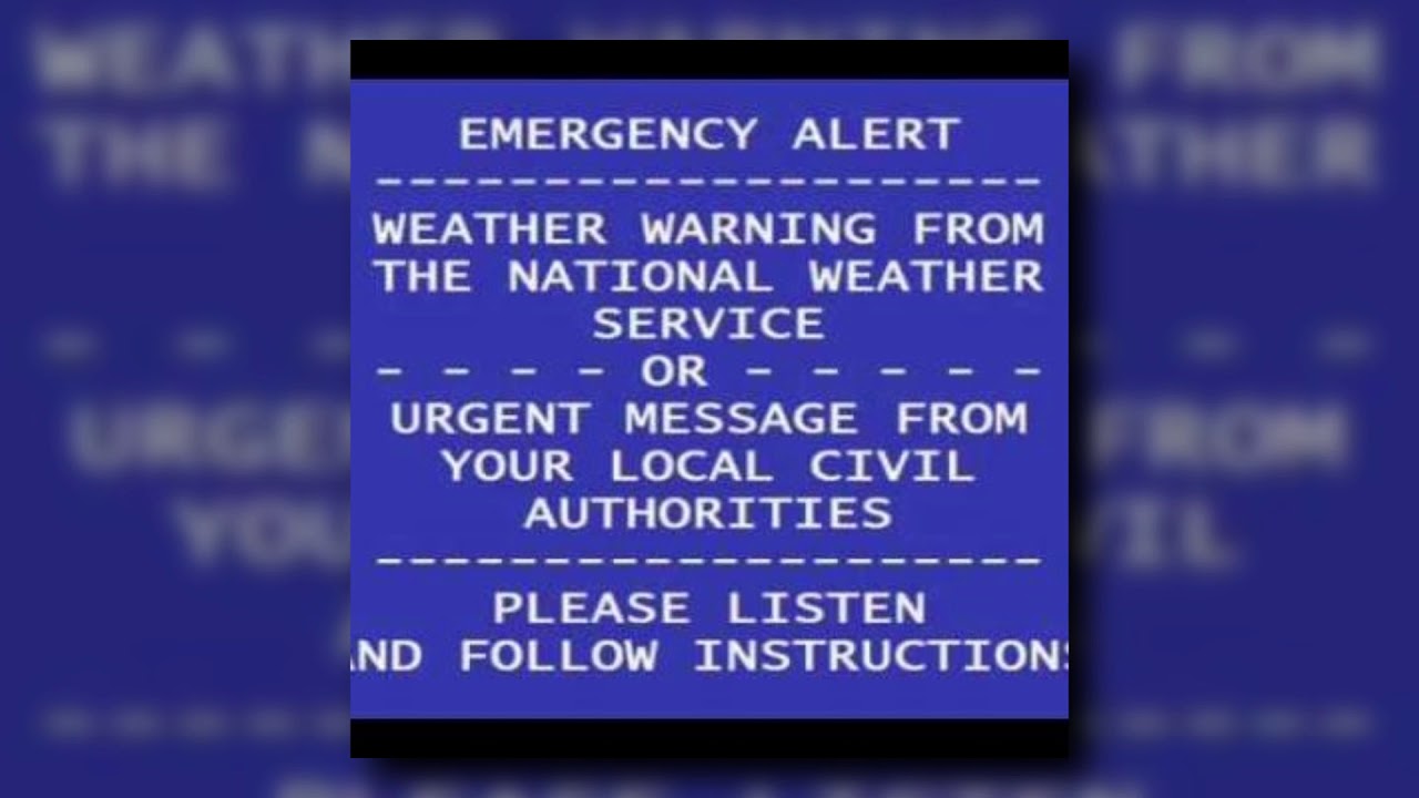 Nascar Aloe - WARNING