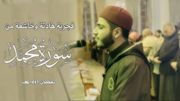فجرية بهدوء خاشع من سورة محمد 🩶 | رمضان ١٤٤٦ هـ