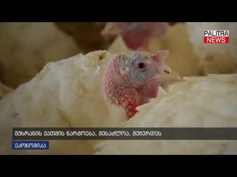 მუხრანის ქათმის წარმოება შესაძლოა შეჩერდეს