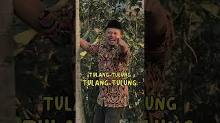 TULANG LUNAK polapike shorts rendrapolapike