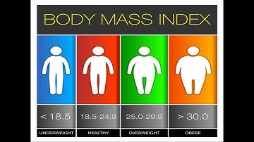 BMI Calculator in Thunkable