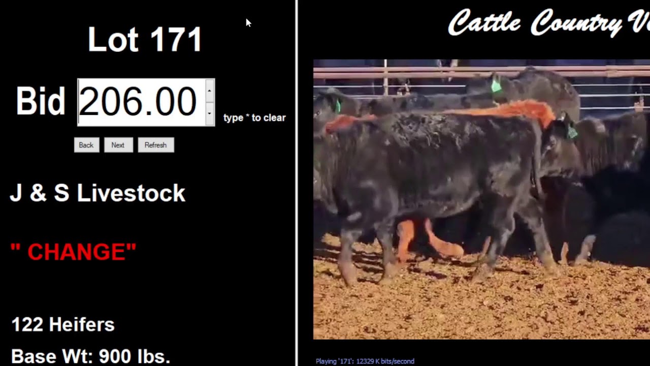 Cattle Country Video 2024 Winter Classic YouTube