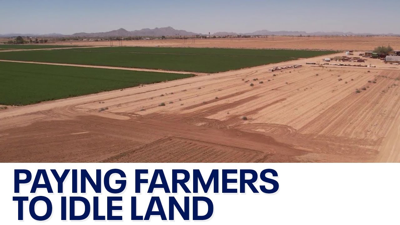 Arizona Water Crisis Federal Government Looking At Paying Farmers To Arizona Water Crisis Federal Government Looking At Paying Farmers To