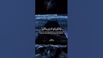 القارئ#ماهر_المعيقلي #سورة_الجاثية #القرآن_الكريم #quran